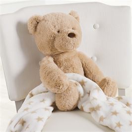 Bear Plush with Blanket