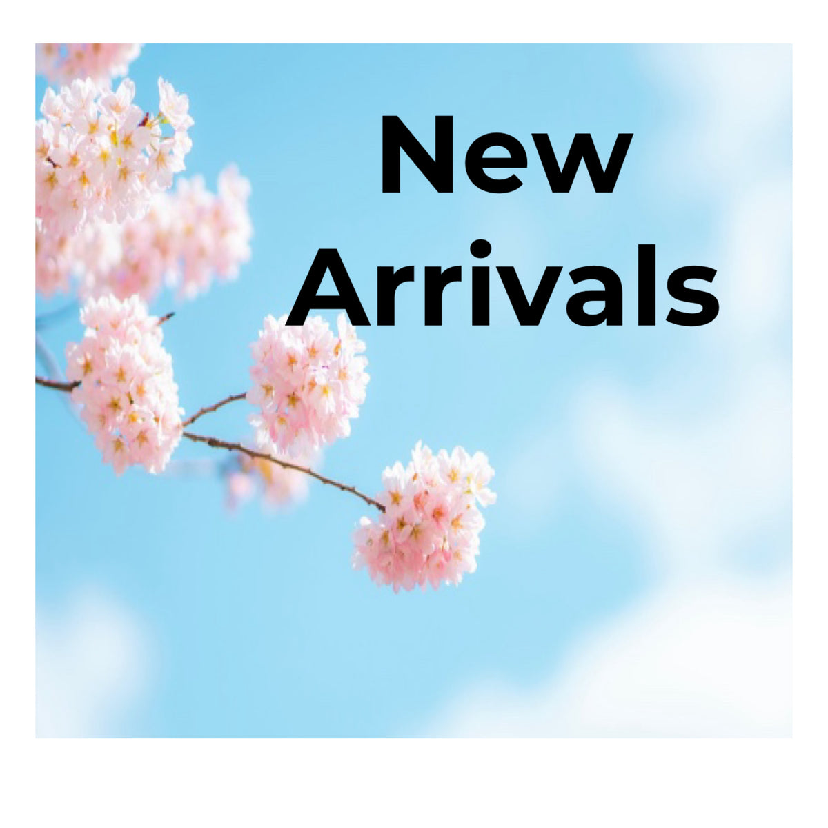 New Arrivals
