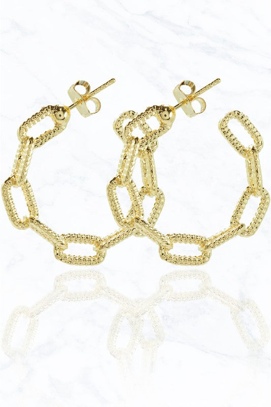 Luxury Rounded Chain Earrings