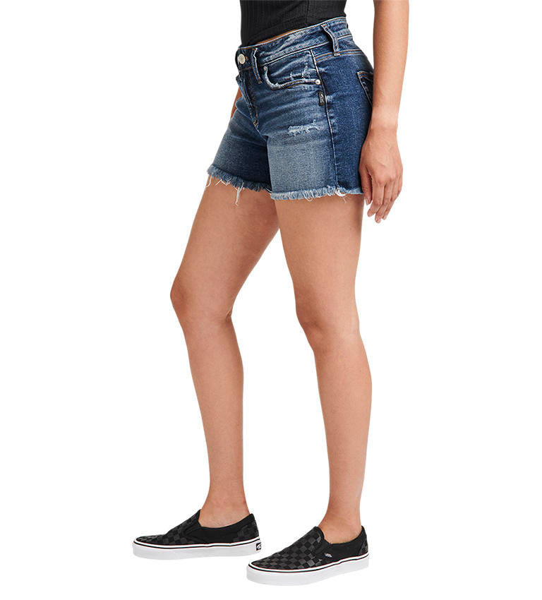 Suki Curvy Fit Shorts